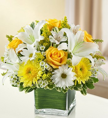 New Summer Archives - Blue Ivy Floral Florist in Brampton